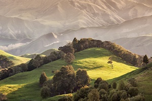 Whanganui hill country