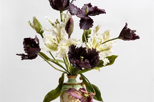 2020 Pattillo Open Award Winner, Tracy Byatt – Parrot Tulips - A Study in Sugar, 2019