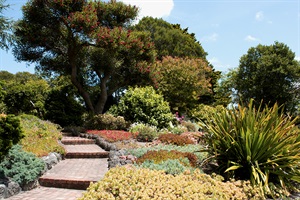 Bason Botanic Gardens