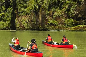 Canoeists on the Whanganui River