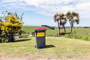 Image of wheelie bin in park