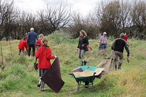 Hylton Park planting day on Saturday, 25 June