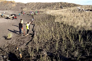 Castlecliff Coast Care's planting day is this Saturday, 22 July