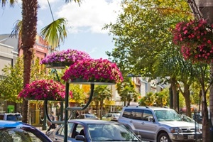 Hanging baskets on Victoria Avenue