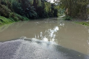 Mangamahu Road 
