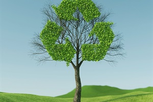 Tree with recycling symbol