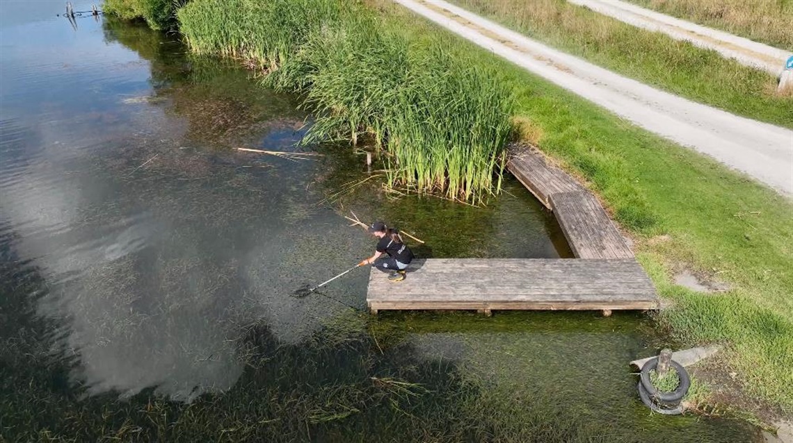 Taking a swim spot sample at Lake Wiritoa