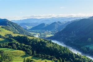 Whanganui river 2023