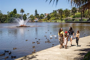 Rotokawau Virginia Lake Reserve