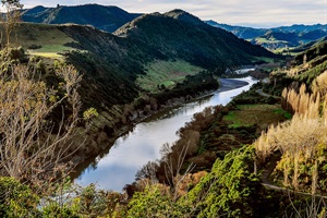 Whanganui River Enhancement Trust funding applications are open