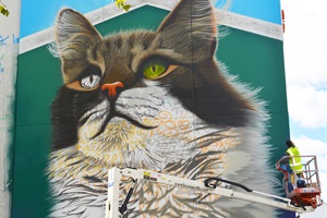 Whanganui Walls cat mural in St Hill Street