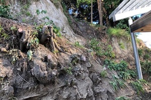 Durie Hill elevator slip March 2022