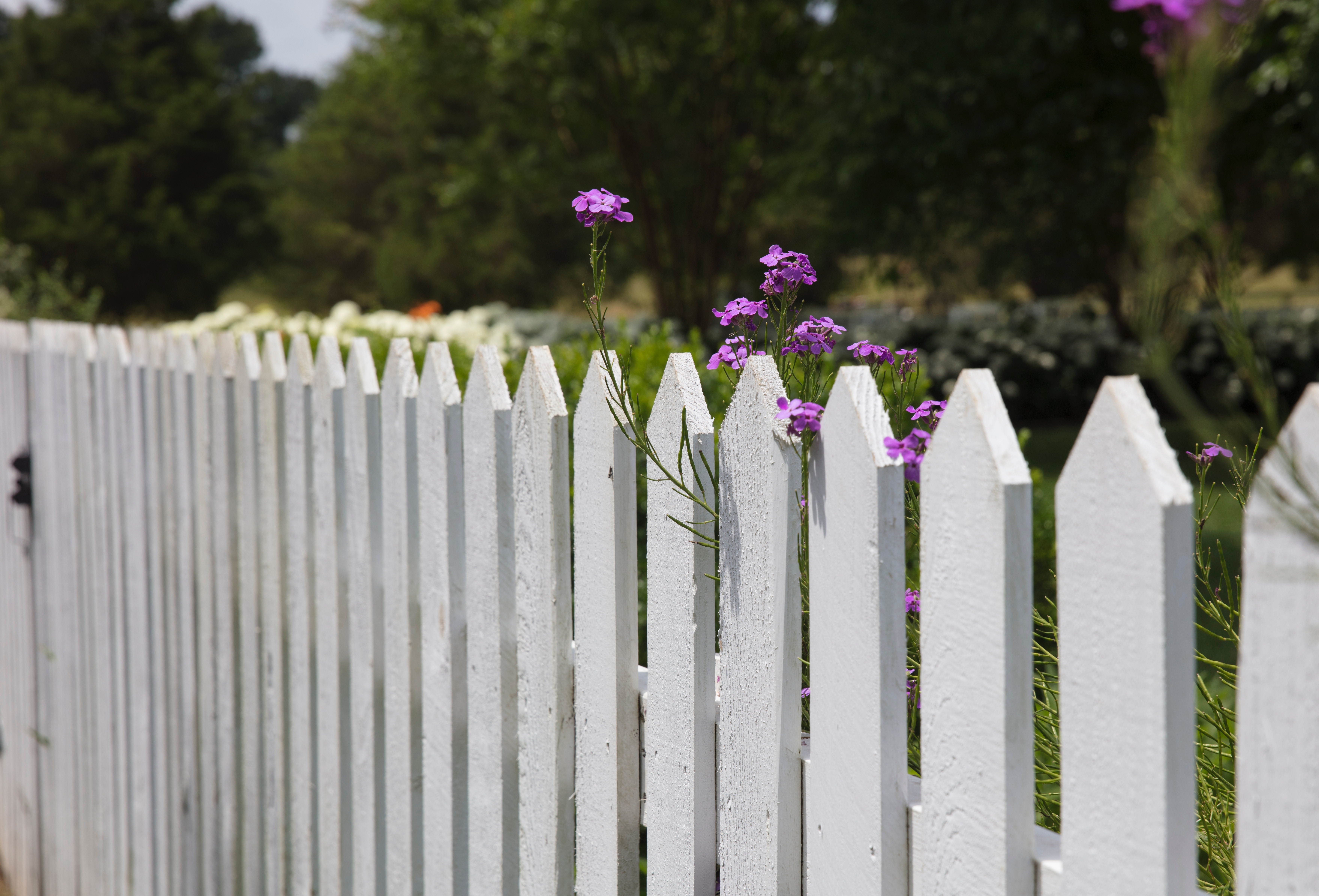 Fences and Boundaries Whanganui District Council