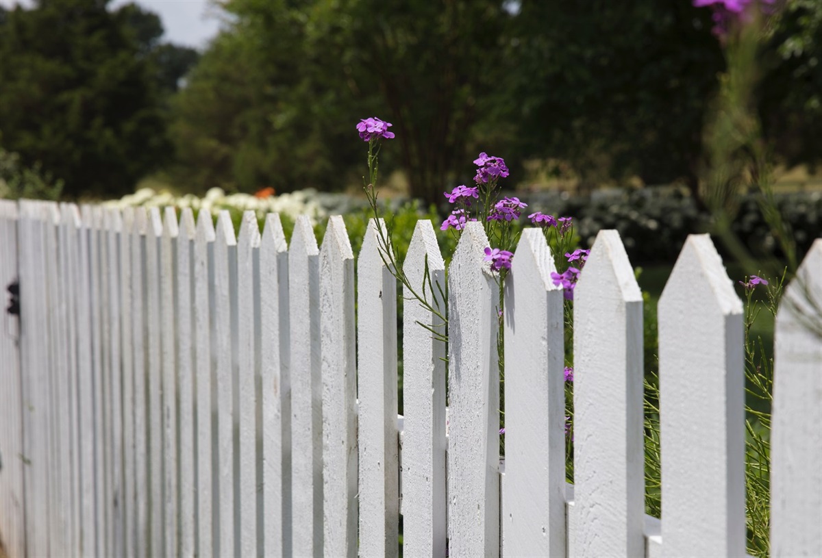 Fencing In Auckland