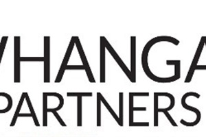 Whanganui & Partners logo 